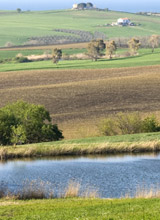 fattoria di vaira